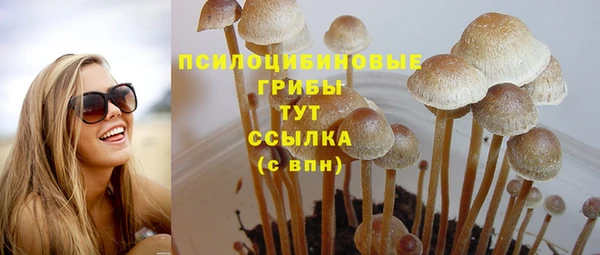 прущий лед Покров