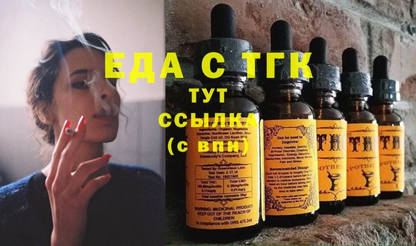 хмурый Пересвет