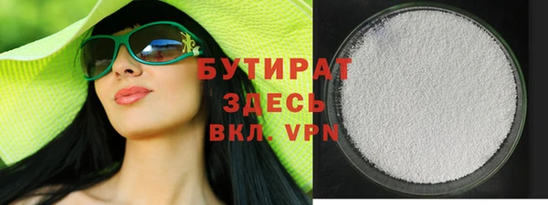 хмурый Пересвет