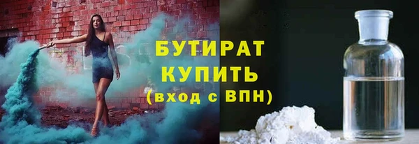 хмурый Пересвет