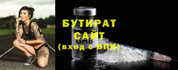 хмурый Пересвет