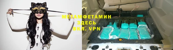 хмурый Пересвет