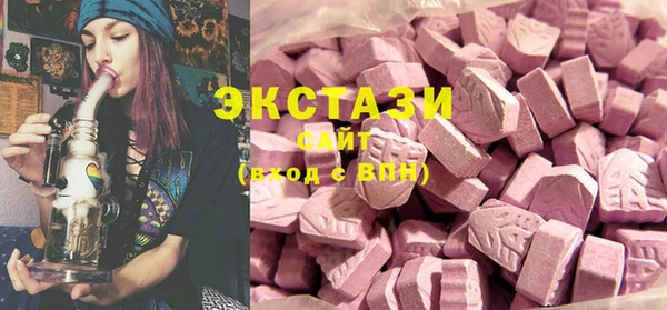 хмурый Пересвет