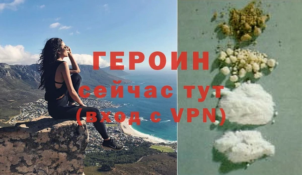 хмурый Пересвет