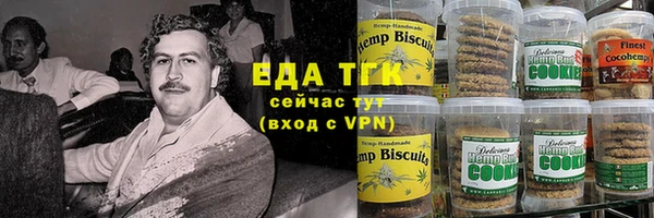 хмурый Пересвет