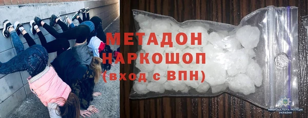 хмурый Пересвет