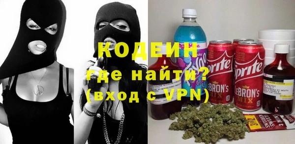 хмурый Пересвет