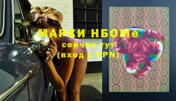 хмурый Пересвет